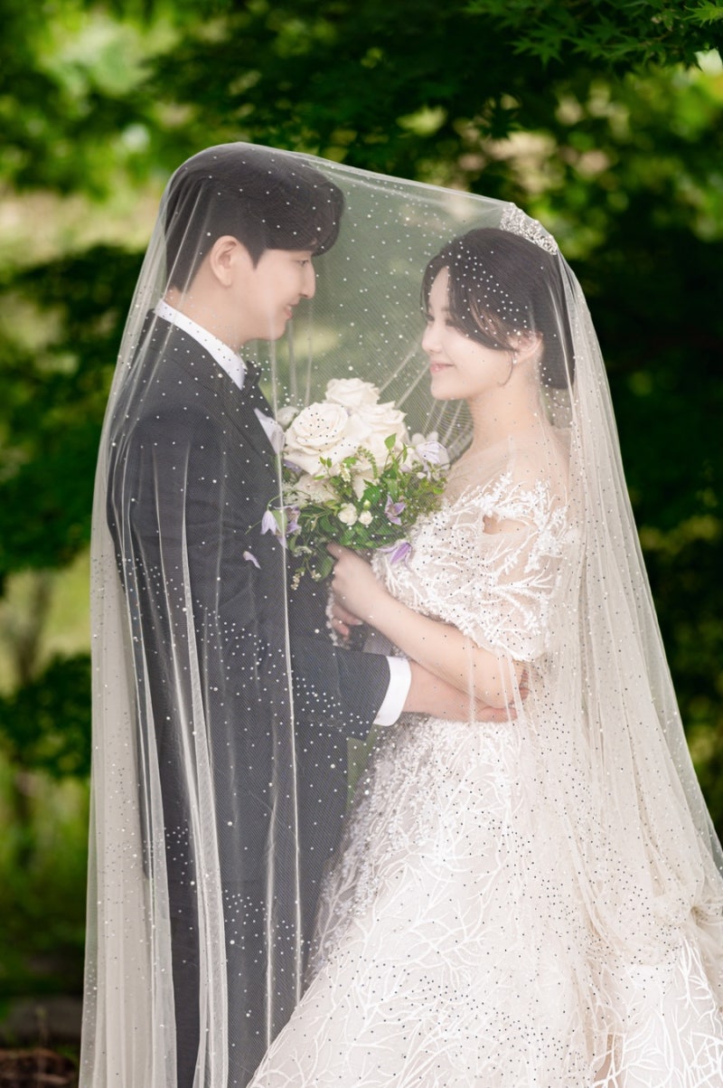 베일 클로즈업